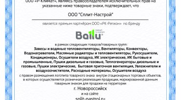 Фильтр CARBON для Ballu ONEAIR ASP-200